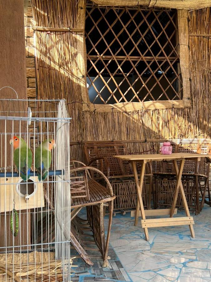 Oasis Camp Otel Bawati Dış mekan fotoğraf