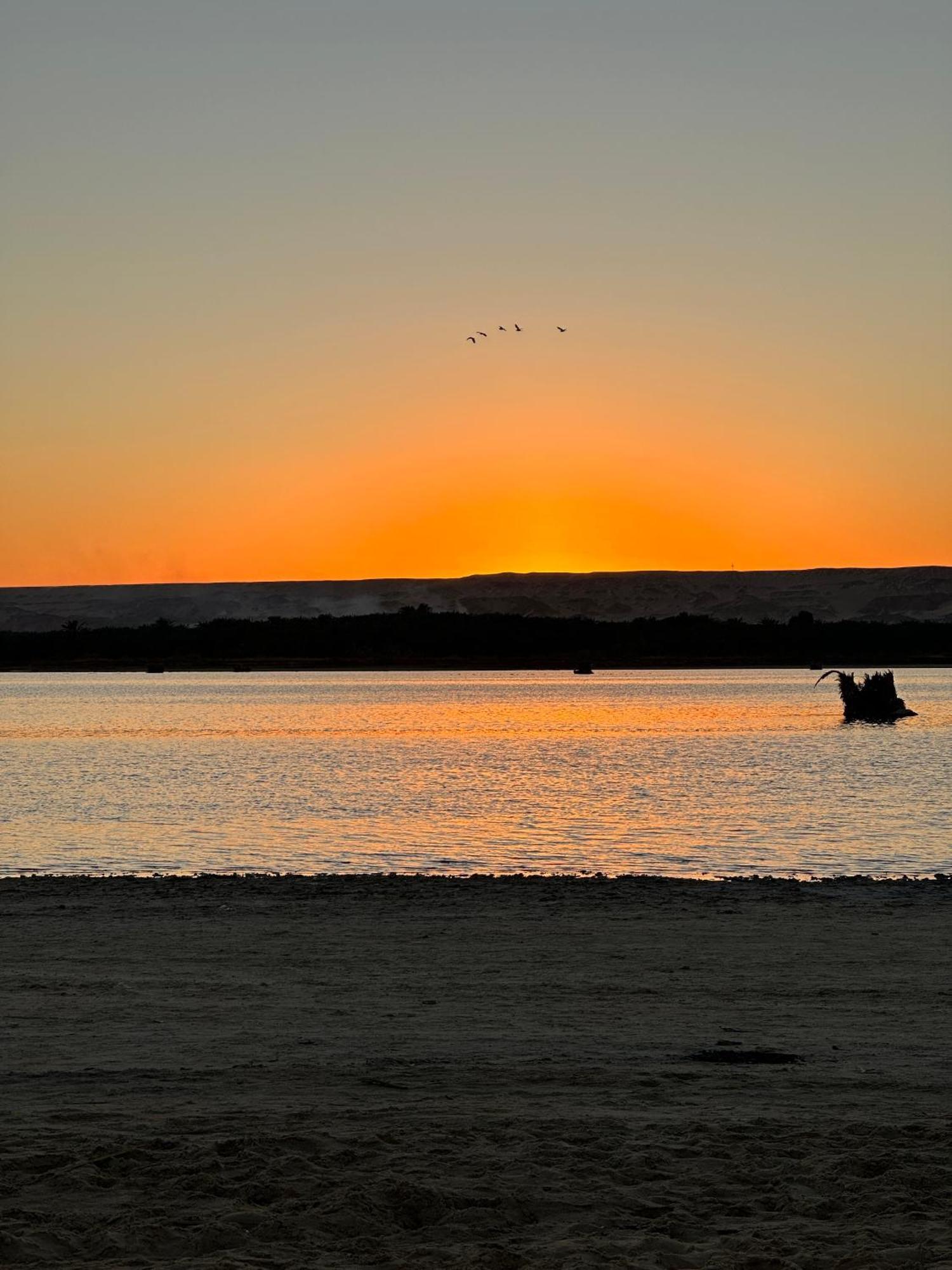 Oasis Camp Otel Bawati Dış mekan fotoğraf